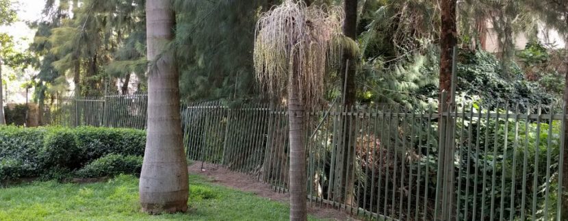 IMG-20180313-WA0052